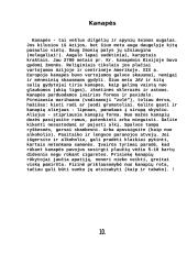 Narkotikai. Rizikos veiksniai 10 puslapis