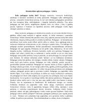 Ikimokyklinio ugdymo pedagogas - lyderis