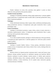 Prevencijos programa, smurtas prieš moteris 12 puslapis