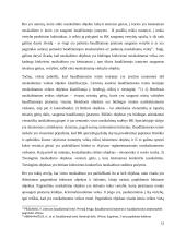 Kontrabandos prevencinė priemonė ir teisinė atsakomybė 11 puslapis