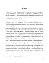 Kontrabandos prevencinė priemonė ir teisinė atsakomybė 3 puslapis