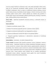 Kontrabandos prevencinė priemonė ir teisinė atsakomybė 4 puslapis