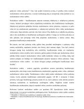 Kontrabandos prevencinė priemonė ir teisinė atsakomybė 8 puslapis