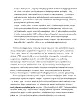 NATO funkcijų kaita 5 puslapis