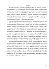 Kreicfeldo-Jakobo liga: prevencija ir socioedukacinė pagalba 9 puslapis