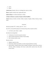 Konspektas apie Viduramžius, Antiką ir Renesansą 3 puslapis