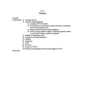 NATO. Lietuvos kelias į NATO. 2 puslapis