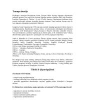 NATO. Lietuvos kelias į NATO. 4 puslapis