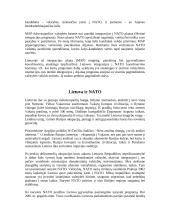 NATO. Lietuvos kelias į NATO. 8 puslapis