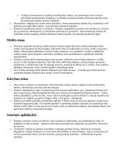 Jurgis Kunčinas romanas ,,Tūla'' analizė 2 puslapis