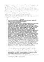 A. Škėmos biografija ir „Balta drobulė“ analizė 2 puslapis