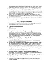 Referatas apie B. Sruogą 2 puslapis