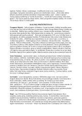 Referatas apie B. Sruogą 4 puslapis