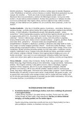 Referatas apie B. Sruogą 5 puslapis