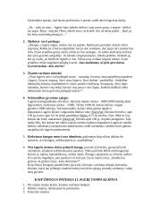 Referatas apie B. Sruogą 6 puslapis