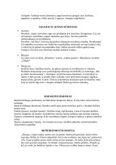 Referatas apie B. Sruogą 8 puslapis