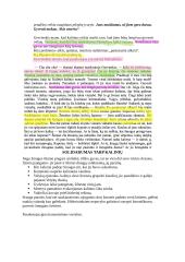 Referatas apie B. Sruogą 9 puslapis