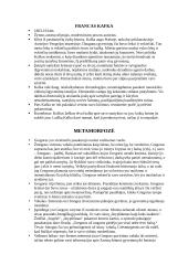 F. Kafka biografija, kūrybos analizė