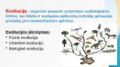 Skaidrės - evoliucija 2 puslapis