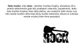 Roko muzika. Skaidrės 2 puslapis