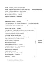 Naudininko linksnio vartojimas 11 puslapis