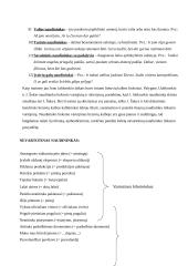 Naudininko linksnio vartojimas 10 puslapis