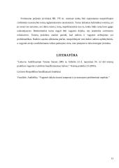 Vagystės dalyko samprata 12 puslapis