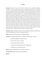 Nauji verslo organizavimo būdai 2 puslapis