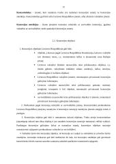 Nauji verslo organizavimo būdai 12 puslapis