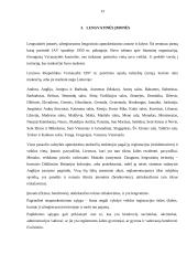 Nauji verslo organizavimo būdai 13 puslapis