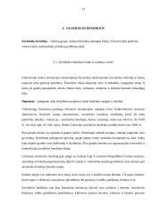 Nauji verslo organizavimo būdai 14 puslapis