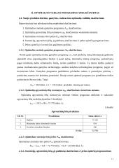 Naujo produkto kūrimas ir investicijų realizavimo pagrindimas 10 puslapis