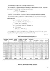 Naujo produkto kūrimas ir investicijų realizavimo pagrindimas 11 puslapis