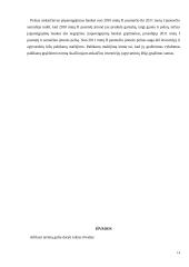 Naujo produkto kūrimas ir investicijų realizavimo pagrindimas 13 puslapis