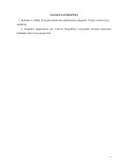 Naujo produkto kūrimas ir investicijų realizavimo pagrindimas 16 puslapis