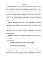 Naujo produkto kūrimas ir investicijų realizavimo pagrindimas 2 puslapis