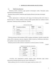 Naujo produkto kūrimas ir investicijų realizavimo pagrindimas 3 puslapis