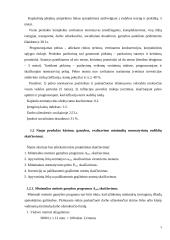 Naujo produkto kūrimas ir investicijų realizavimo pagrindimas 4 puslapis