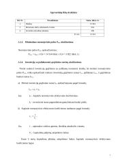 Naujo produkto kūrimas ir investicijų realizavimo pagrindimas 6 puslapis