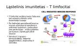Imuninė sistema. Ląstelinis ir Humoralinis imunitetai. Skiepai 8 puslapis