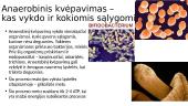 Anaerobinis ir Aerobinis kvėpavimas 5 puslapis