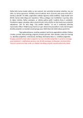 Dieviška ir velniška žmogaus prigimtis V. Goldingo romane ,,Musių valdovas‘‘ 2 puslapis