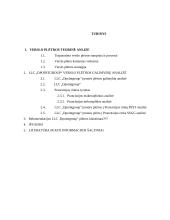 LLC “Dpointgroup” verslo plėtra Prancūzijos rinkoje