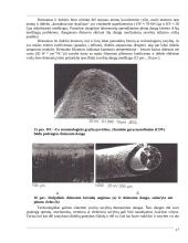 Naujos įrankių medžiagos 17 puslapis