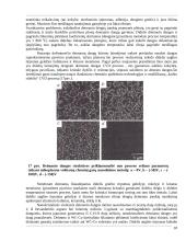 Naujos įrankių medžiagos 18 puslapis