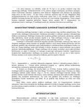 Naujos įrankių medžiagos 20 puslapis