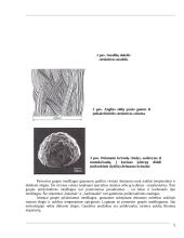 Naujos įrankių medžiagos 5 puslapis