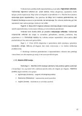 Darbuotojų motyvavimas įmonėje (referatas) 10 puslapis