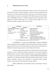 Darbuotojų motyvavimas įmonėje (referatas) 13 puslapis