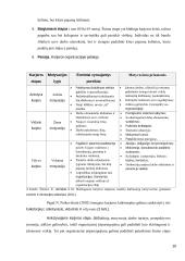 Darbuotojų motyvavimas įmonėje (referatas) 18 puslapis